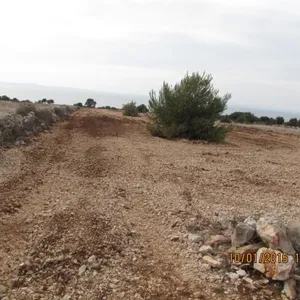 Земельный участок в Вир, фото 3