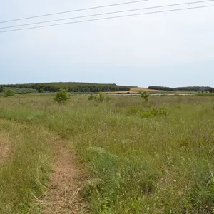 Земельный участок в Kassandra Municipality, фото 3
