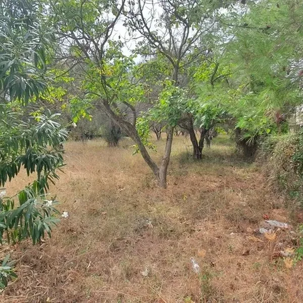 Земельный участок в Kassandra Municipality, фото 1