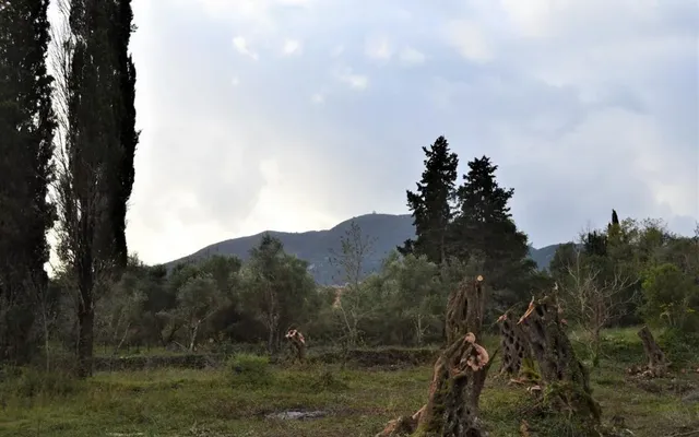 Земельный участок в Corfu