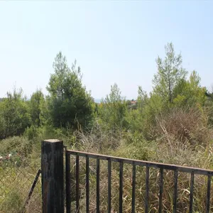 Земельный участок в Kassandra Municipality, фото 2