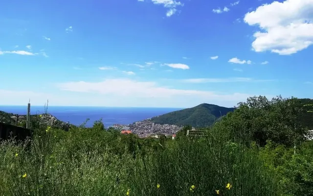 Земельный участок в Марковичи