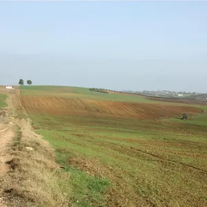 Земельный участок в Kassandra Municipality, фото 4