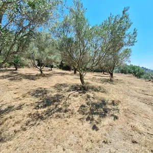 Земельный участок в Corfu, фото 5