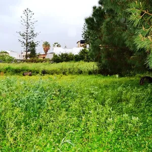 Земельный участок в Filiates Municipal Unit, фото 3