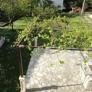Отдельный дом в Тиват, фото 3