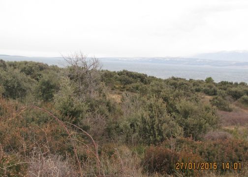 Земельный участок в Вир