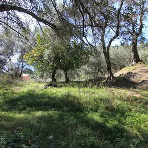Земельный участок в Corfu, фото 4