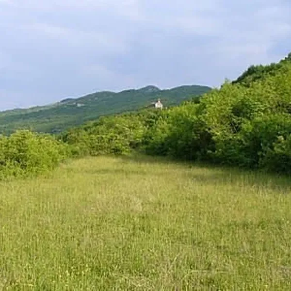 Ферма в Подгорица, фото 1