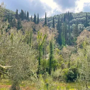 Земельный участок в Corfu, фото 2