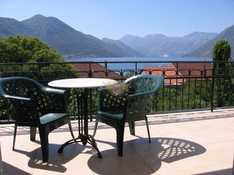 Коммерческая недвижимость в Доброта