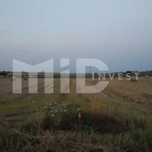 Земельный участок в Каллифея (Кассандра), фото 3