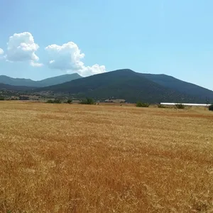 Земельный участок в Василика, фото 2
