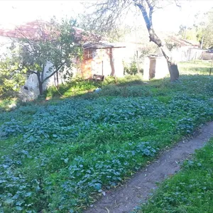 Земельный участок в Kassandra Municipality, фото 3