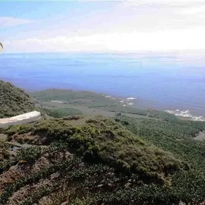 Квартира в Алания, фото 4