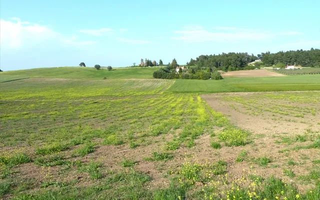 Земельный участок в Kassandra Municipality