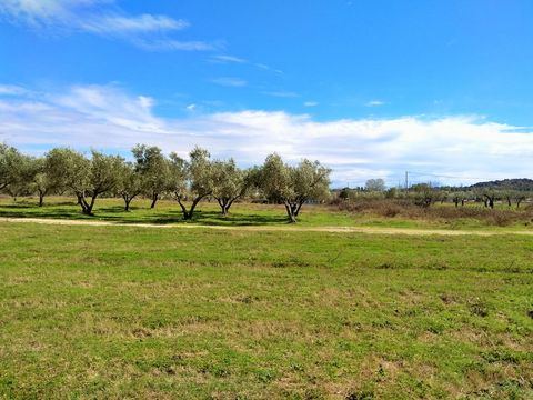 Земельный участок в Ситониа