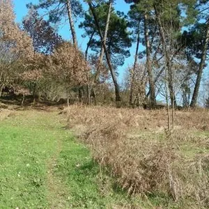 Отдельный дом в Пескалья, фото 4