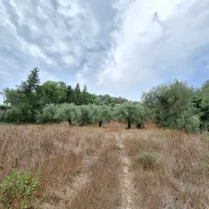 Земельный участок в Corfu, фото 4