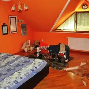 Дом в Сухадоле, фото 5