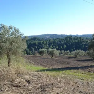 Земельный участок в Kassandra Municipality, фото 3