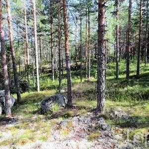 Земельный участок в Пуумала, фото 3