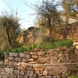 Вилла в Леричи, фото 4