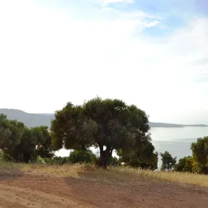 Земельный участок в Kassandra Municipality, фото 2