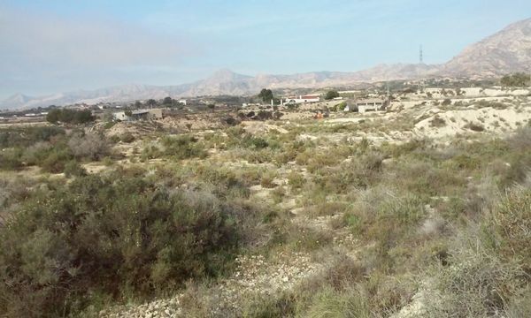 Земельный участок в Кревильенте