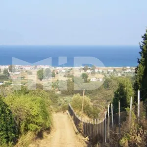 Земельный участок в Ситониа, фото 3