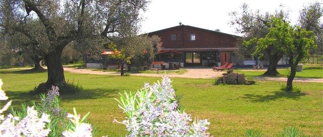 Усадьба в Канино