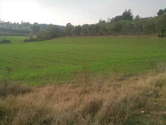 Земельный участок в Kassandra Municipality