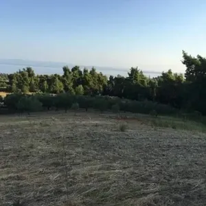 Земельный участок в Kassandra Municipality, фото 2