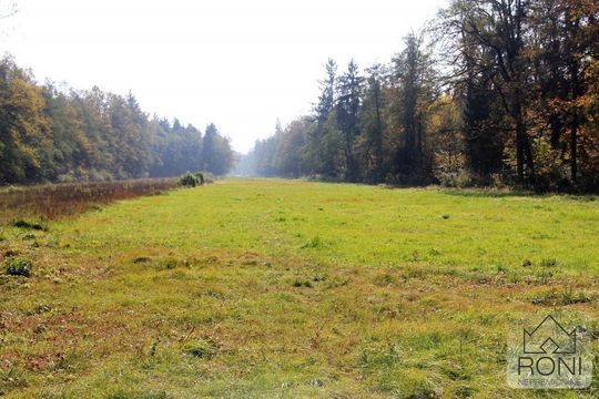 Земельный участок в Любляна