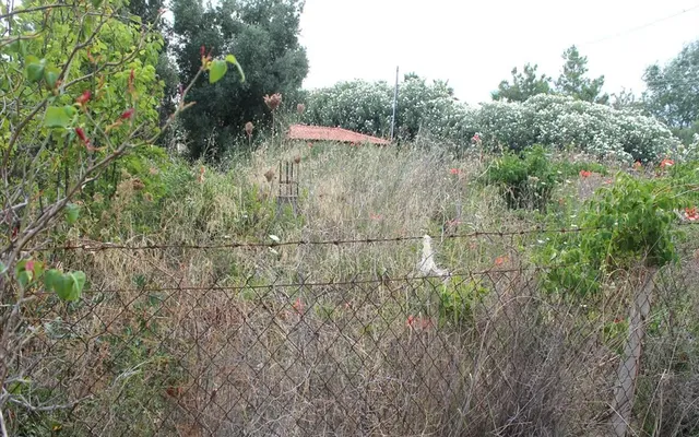 Земельный участок в Kassandra Municipality