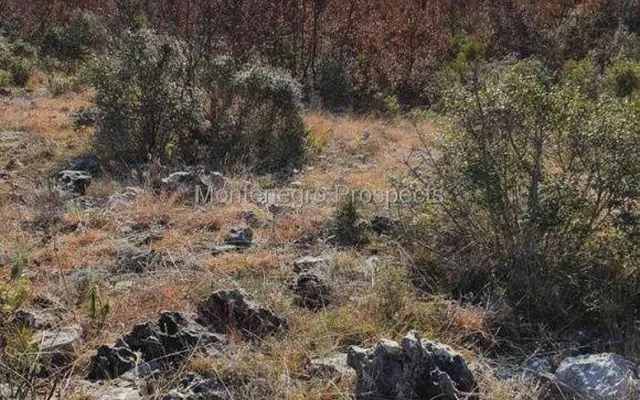 Земельный участок в Черногория
