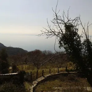 Земельный участок в Кульяче, фото 3