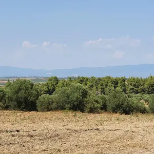 Земельный участок в Kassandra Municipality, фото 2