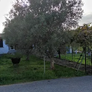 Отдельный дом в Kassandra Municipality, фото 2
