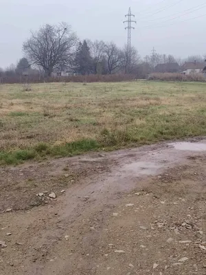 Земельный участок в Лозница