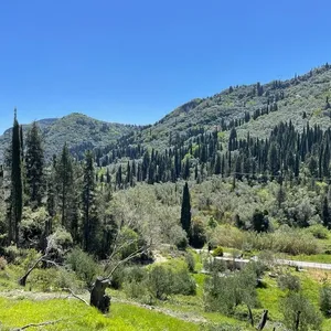 Земельный участок в Corfu, фото 2