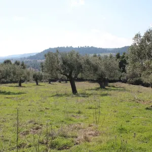 Земельный участок в Kassandra Municipality, фото 3