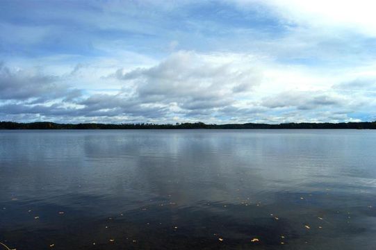 Земельный участок в Пуумала