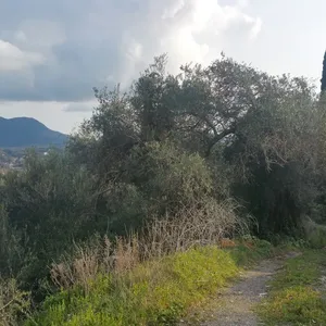 Земельный участок в Corfu, фото 4
