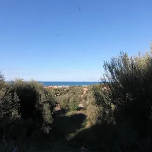 Земельный участок в Corfu, фото 2
