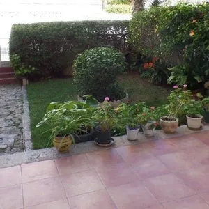 Квартира в Аликанте, фото 5