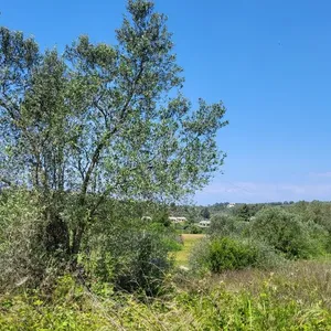 Земельный участок в Kassandra Municipality, фото 2