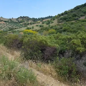 Земельный участок в Ситониа, фото 3