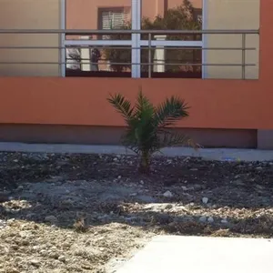 Отдельный дом в Бар, фото 3