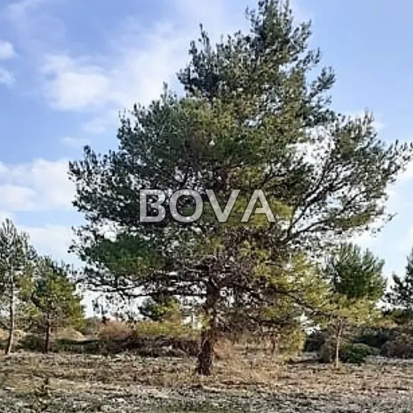 Земельный участок в Нин, фото 1